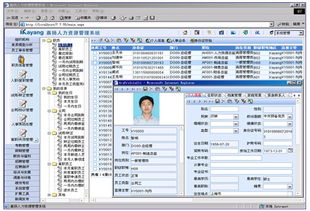 人力资源管理软件的技术规范与技术转让
