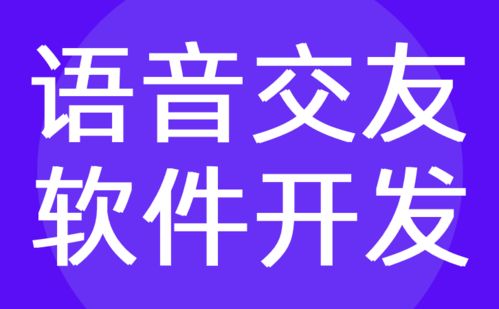 语音交友软件开发与定制 红匣子科技的技术转让服务
